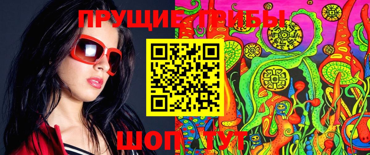 Псилоцибиновые грибы Cubensis Тюмень