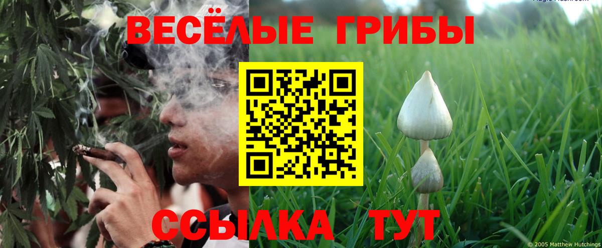 Галлюциногенные грибы мухоморы  Псилоцибиновые грибы MAGIC MUSHROOMS  Вход с VPN  Тюмень 